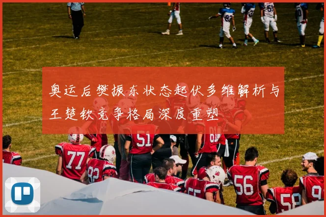 奥运后樊振东状态起伏多维解析与王楚钦竞争格局深度重塑